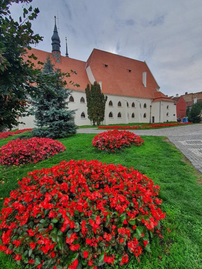 Via Transilvanica Sighisoara Hotel ภายนอก รูปภาพ